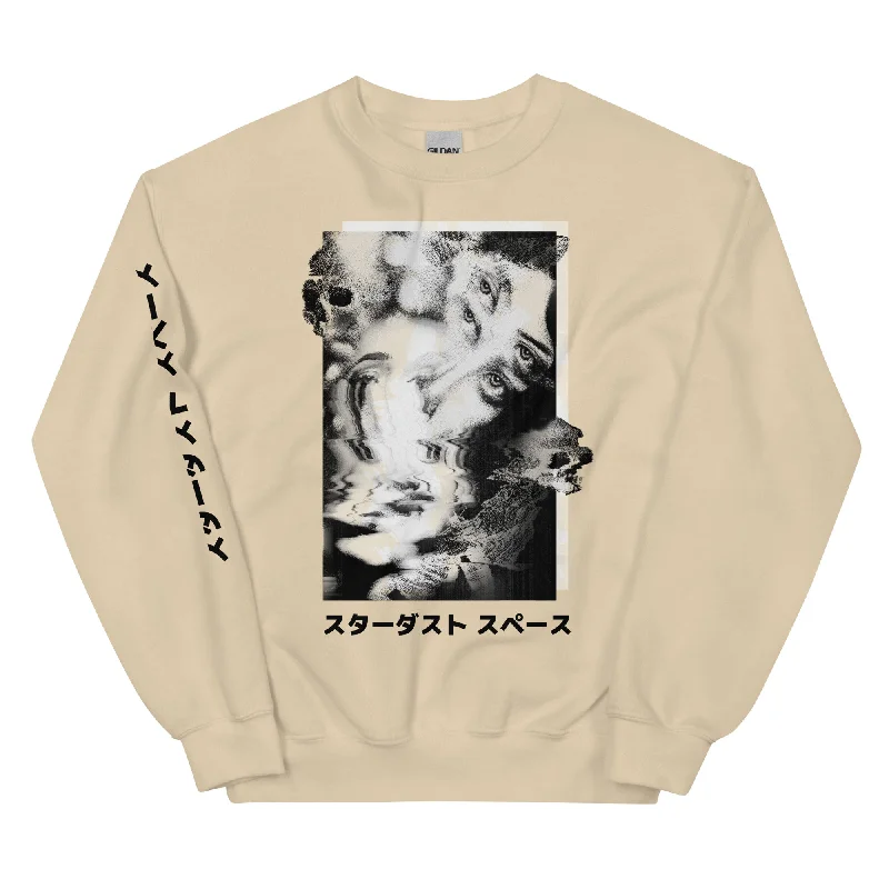 Classic Fit Crew Neck Sweatshirt For Women A TYPE OF COSMIC DUST Hoodie with High-Low Hem Asymmetrical Trendy Classic Fit Crew Neck Sweatshirt For Women A TYPE OF COSMIC DUST Hoodie with High-Low Hem Asymmetrical Trendy